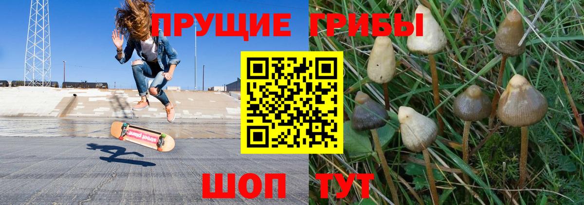 Серпухов  Галлюциногенные грибы Psilocybe  Вход с VPN 